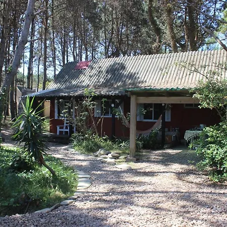 Chalets Del Bosque La Paloma Exterior photo