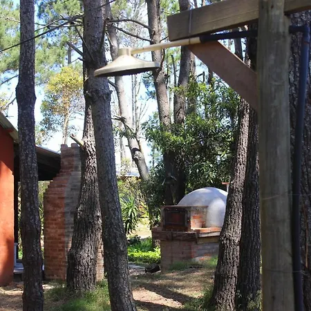 Chalets Del Bosque La Paloma Exterior photo