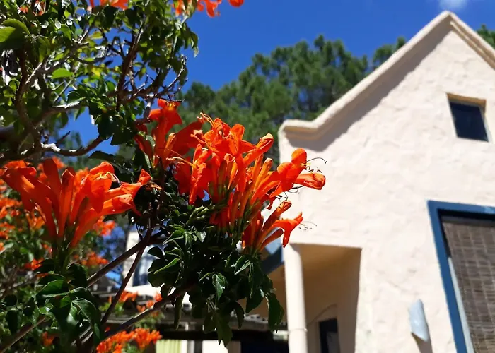 Chalets Del Bosque