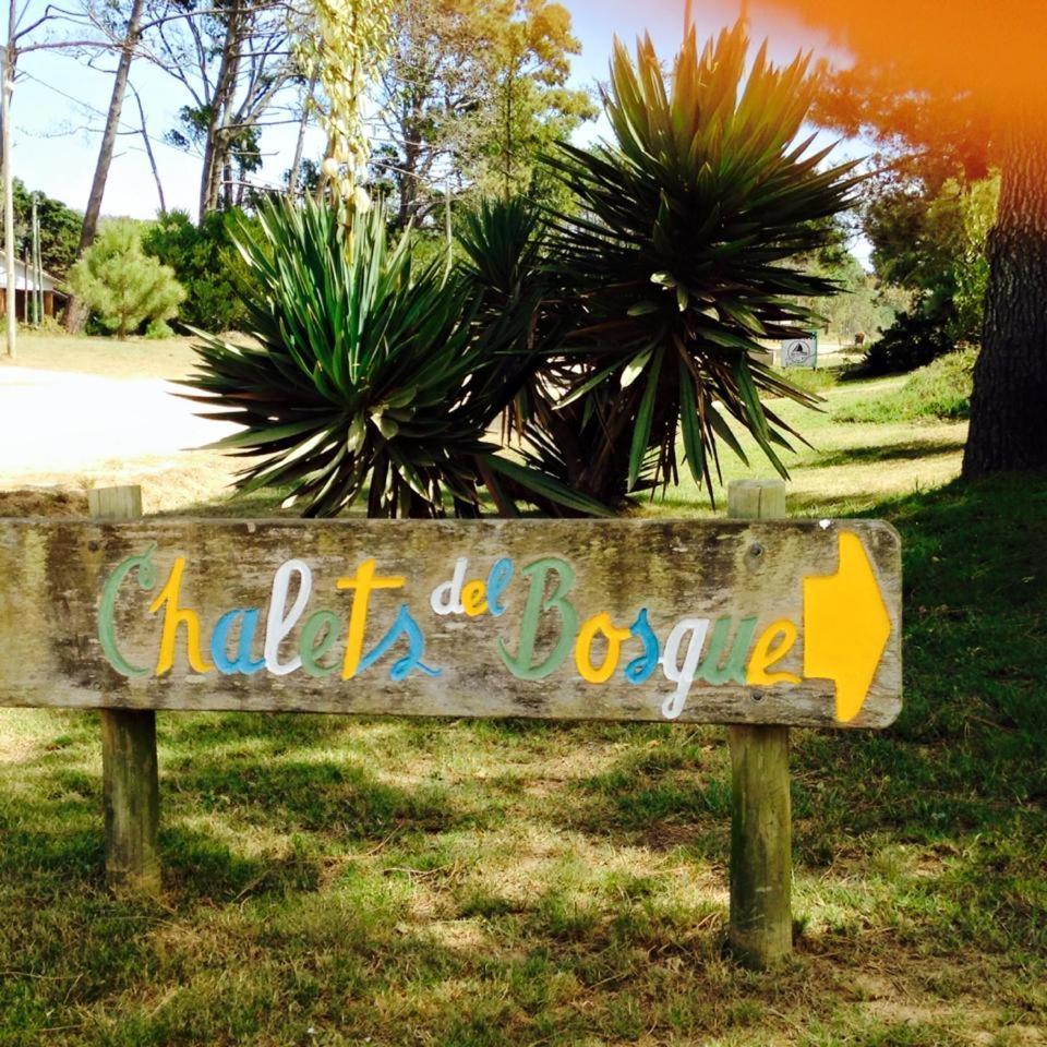 Del Bosque La Paloma