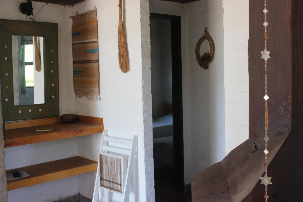 Del Bosque La Paloma