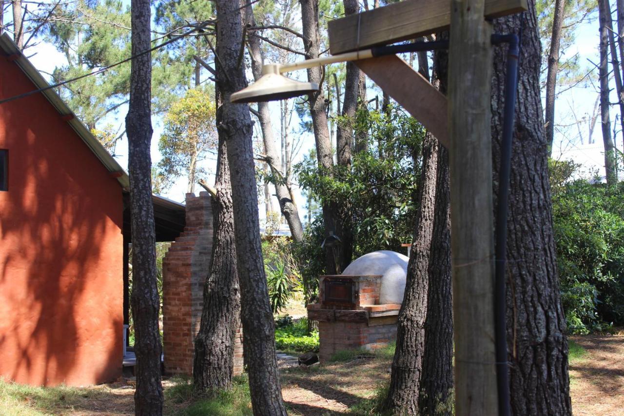 Del Bosque La Paloma