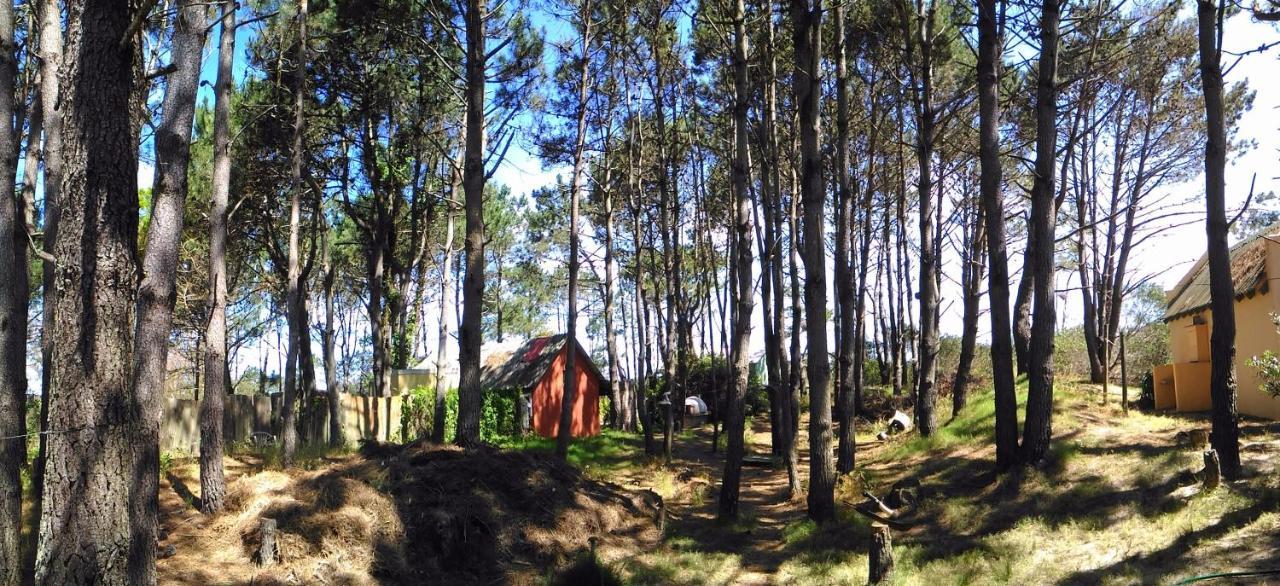 Lodge Del Bosque